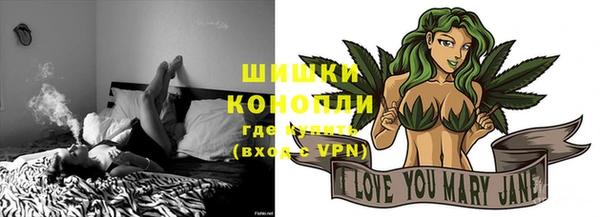 ALPHA PVP Новозыбков