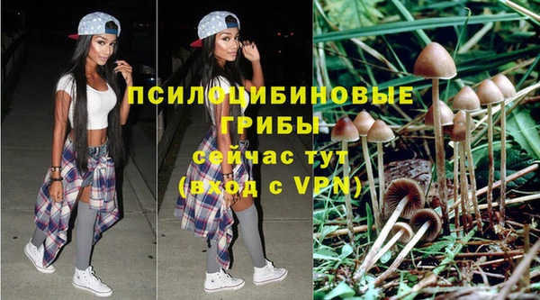 ALPHA PVP Новодвинск
