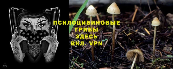 ALPHA PVP Новодвинск