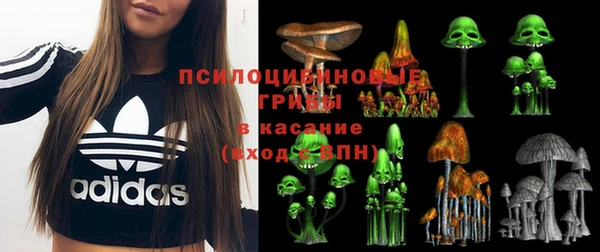 ALPHA PVP Новозыбков