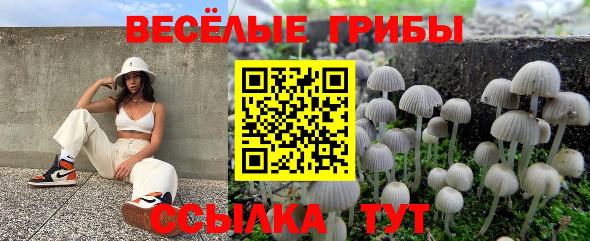 Галлюциногенные грибы прущие грибы  Вход с VPN  Нягань  Галлюциногенные грибы прущие грибы 